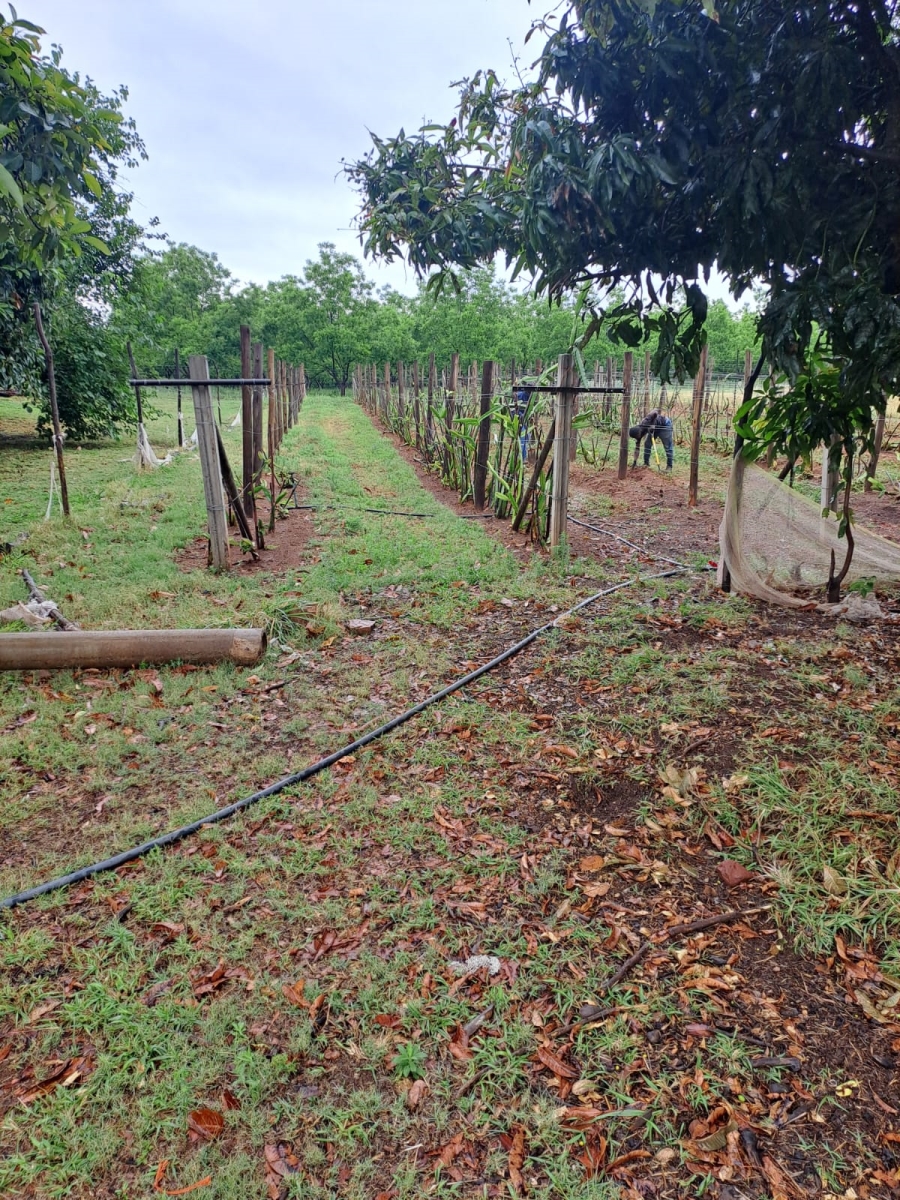 7 Bedroom Property for Sale in Modderfontein AH North West